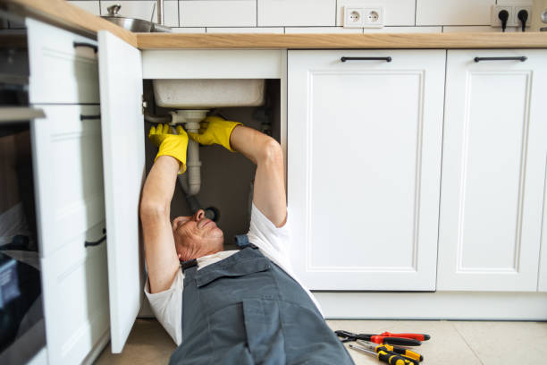 Best Affordable Plumbing Services  in Roseto, PA