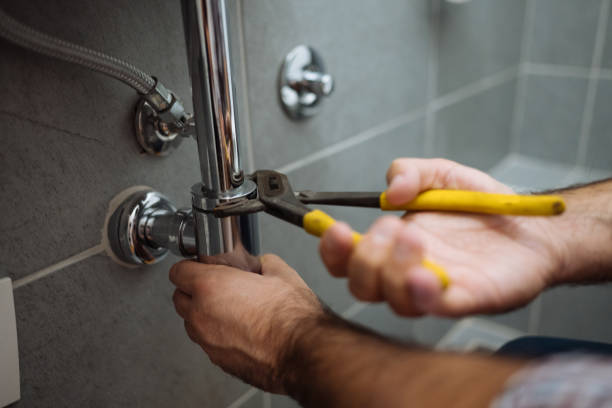 Best Plumbing Services Near Me  in Roseto, PA