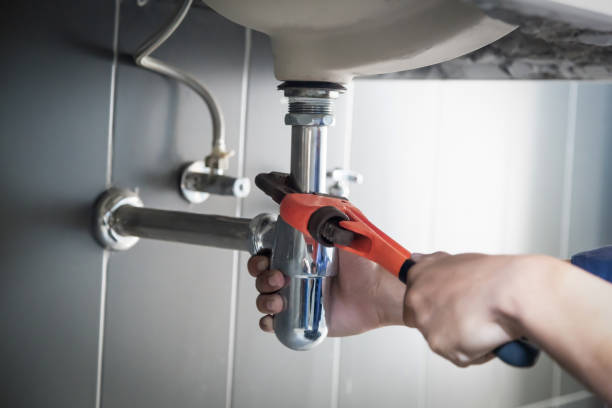 Best Leak Detection Services  in Roseto, PA