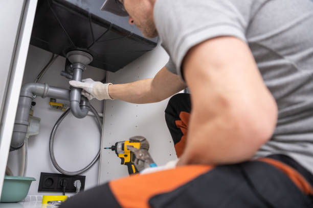 Best Local Plumber Services  in Roseto, PA